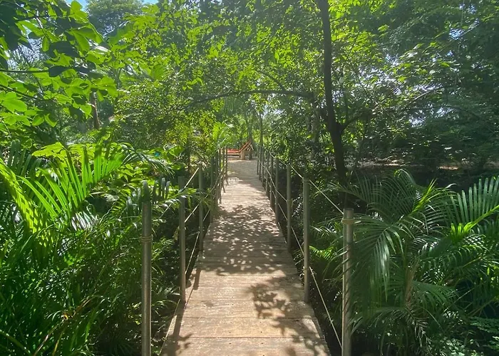 Con Piscina Compartida Jardin Tropical Con Mucha Paz Y Naturaleza Villa Playa Grande